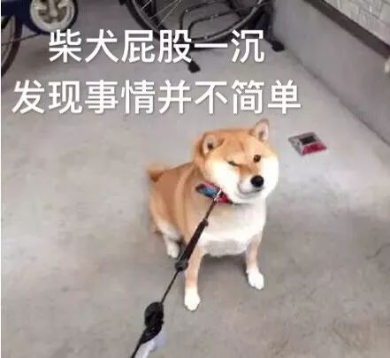  还在pick你家菊姐好看的人已经开始跳舞啦你跳舞,我跳舞,礼物马上就到手
