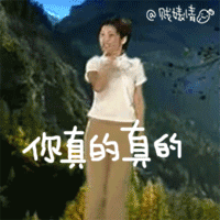  史上原创超贱动态聊天表情你真的真的真的很不错