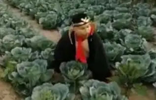  搞笑gif都说好白菜让猪给拱了,这话可真不是空穴来风