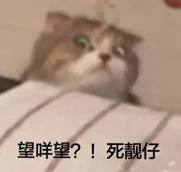  你在哪一刻有别人的命运掌握在自己手中的感觉