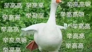 冲鸭类似的表情包要抱抱