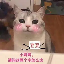 520小猪佩奇我配你,土味情话只为你