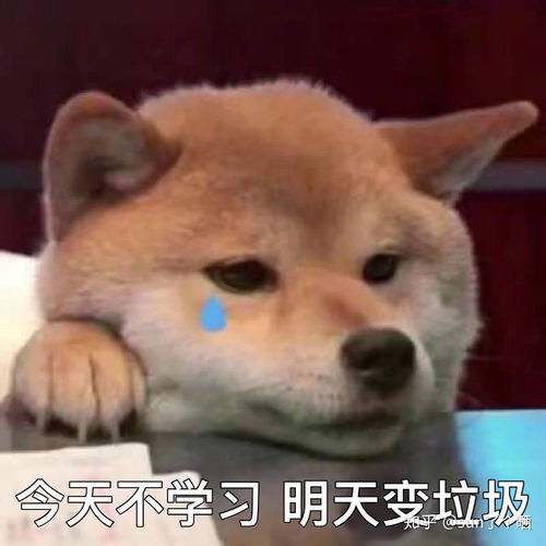  头像钉钉用什么头像能成为全班最靓