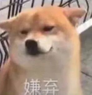  搞笑表情包你脑袋里装的都是屎吗