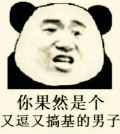 笑点低慎入,笑到根本停不下来 笑点低慎入,笑到根本停不下来