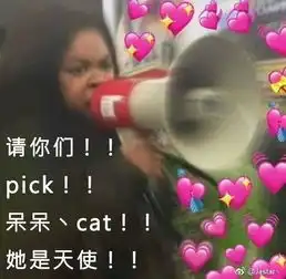  星际大赛为呆呆丶cat应援