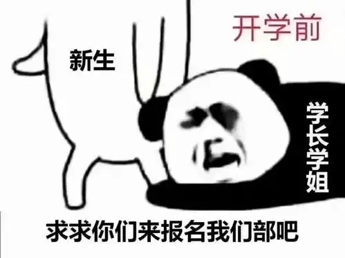  大学新生加社团面试,需要注意什么