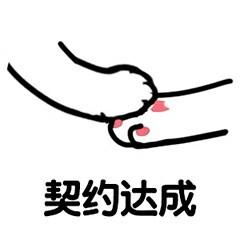  抓楼上的小胸猫爪表情包图片大全丑拒猫爪表情包原图下载乐游网手机下载站
