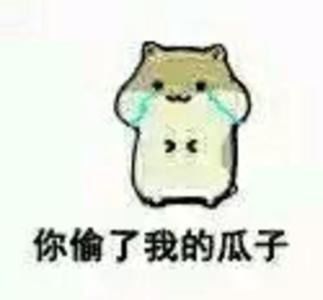  哔哩哔哩专栏