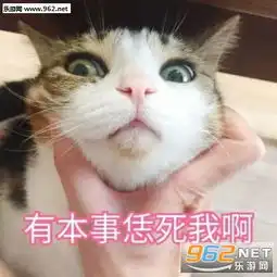  有本事恁死我啊喵咪表情包旺仔牌手电筒照亮你的丑表情包下载乐游网游戏下载