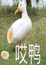 莫烦老子表情包哎鸭表情包下载乐游网游戏下载