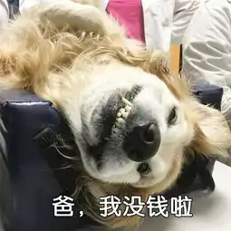  有的人虽然双11破产了,但依旧是表情包大户