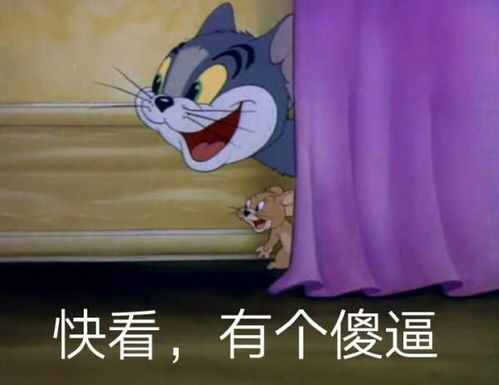  猫和老鼠表情包不喜勿喷