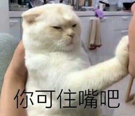  智能音箱升级版kindle等我们准备了60份大奖给大家