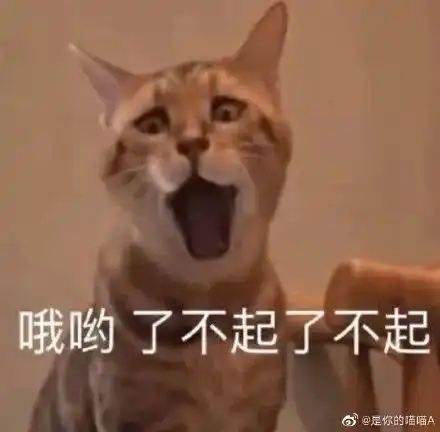  家里装修,集成灶可以买吗如何避坑
