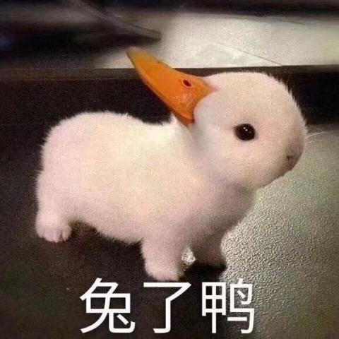 爱会消失吗表情包小可爱