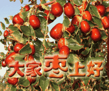 搞笑动态早上好表情送给