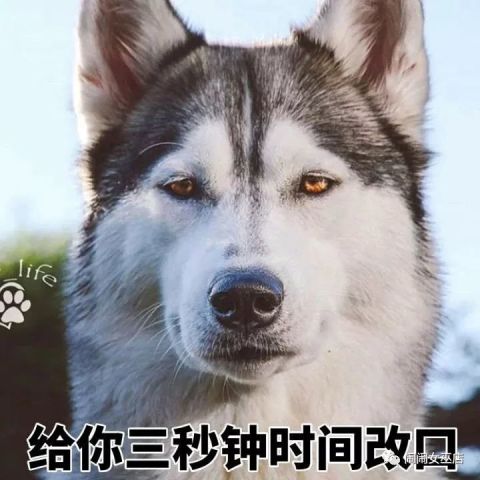  水瓶座与普通人的不同