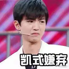  不仅王俊凯是谐星艺人,他的粉丝也是喜剧表演达人,真是太有爱了