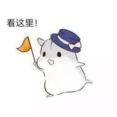  最全清明出行贴士