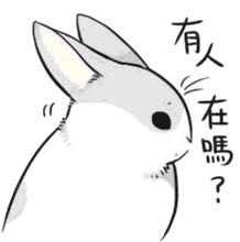  line灰兔子表情包动态