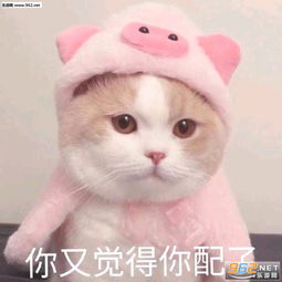  对a要不起表情包原图图片你又觉得你配了表情包下载乐游网游戏下载