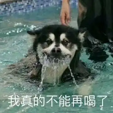  我的收藏