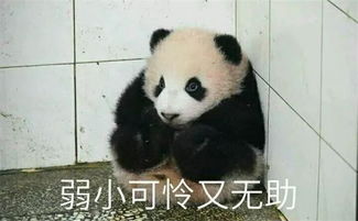  我们是老实人,是不会做那样的事的