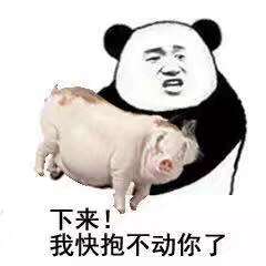  下来我快抱不动你了表情包可以说是非常精彩了表情包下载乐游网游戏下载