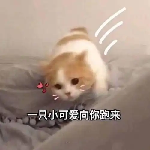  不合适的表情包多令人讨厌