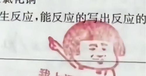  一位90后的女老师,带着一堆表情包批改作业,网友太会玩了