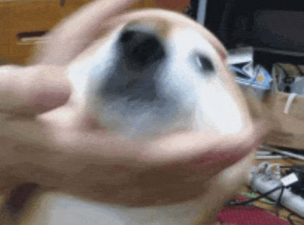 别人花钱买快乐,我花钱买罪受 别人花钱买快乐,我花钱买罪受