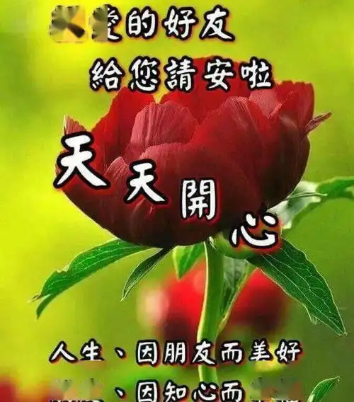  中老年表情包,早安大吉大利,暖暖的祝福送给你