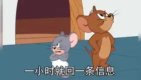  猪猪表情包我大名叫老公,小名叫宝贝