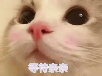  新生攻略武汉,你好