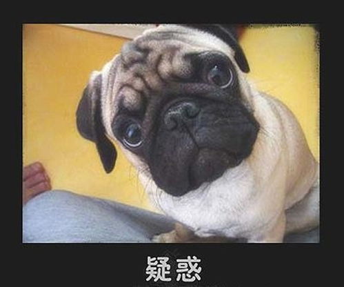  html手机端左右自动滚动效果,html5手机触屏左右滑动切换特效