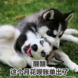  水瓶座与其他普通人的不同
