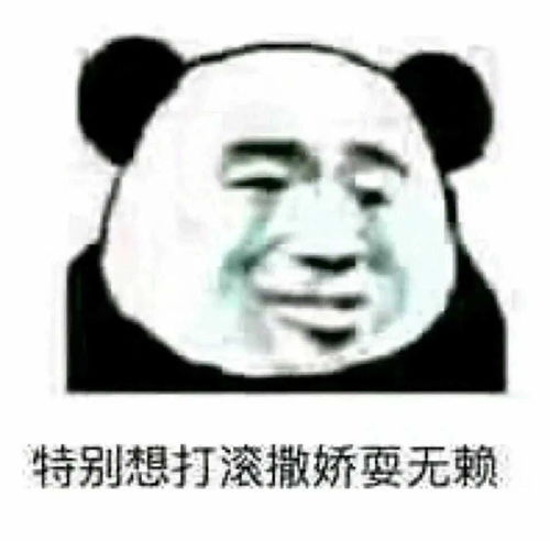老实人表情包熊猫熊猫