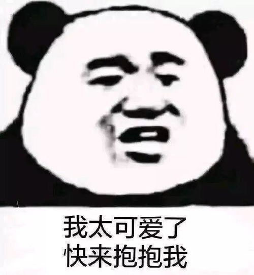 真怂表情包小熊猫