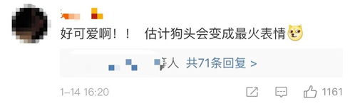  刷屏了微信新增表情上热搜,为啥你没有