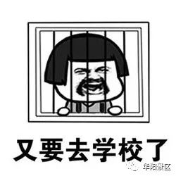  集齐四大国宝,为新学期攒好运