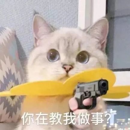  永久巧克力斯泰尔免费送,让你过个浪漫的女神节