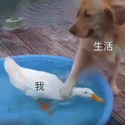  生命是最基本的动力和滋养