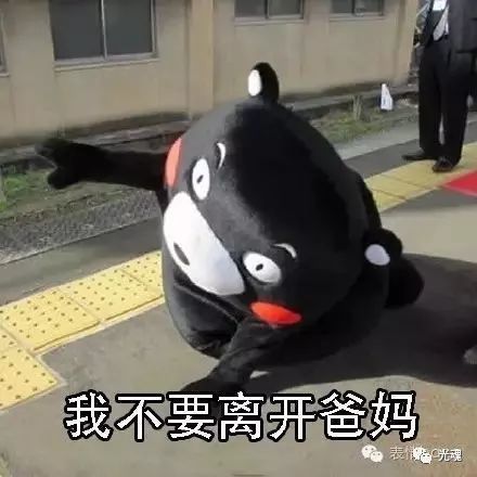  假期余额已经不足