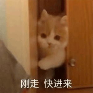 50个聊天斗图沙雕表情包丨今天使点什么坏好呢 50个聊天斗图沙雕表情包丨今天使点什么坏好呢