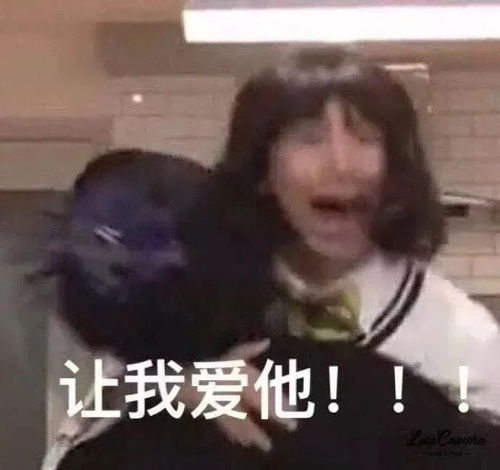  让你一秒变开心的表情包
