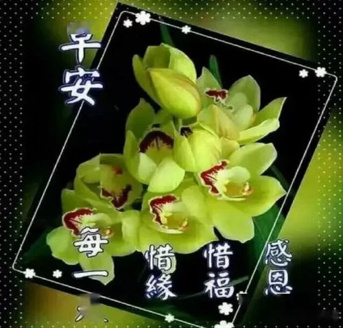  从容面对生活,让生活更舒坦积极面对生活,让生活更如愿,早安