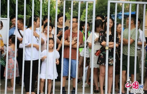  成都青羊鬼马小精灵上线,刷新开学表情包