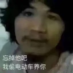  我偷电瓶车养你什么梗我偷电瓶车养你表情包