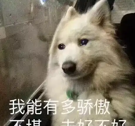 有些女生外表看起来光鲜亮丽,其实裤袜已经掉到大腿了,哈哈哈哈哈